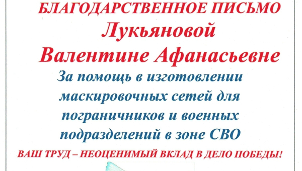 За помощь военным на СВО