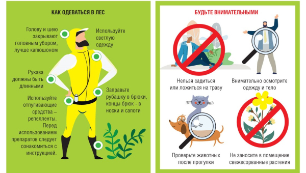 Правила